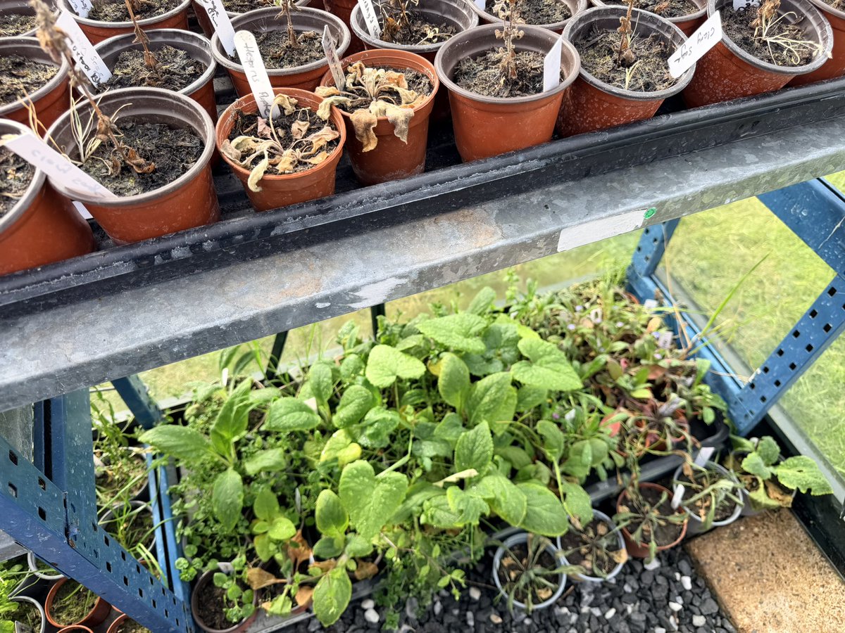 Nikki McGee tweet media