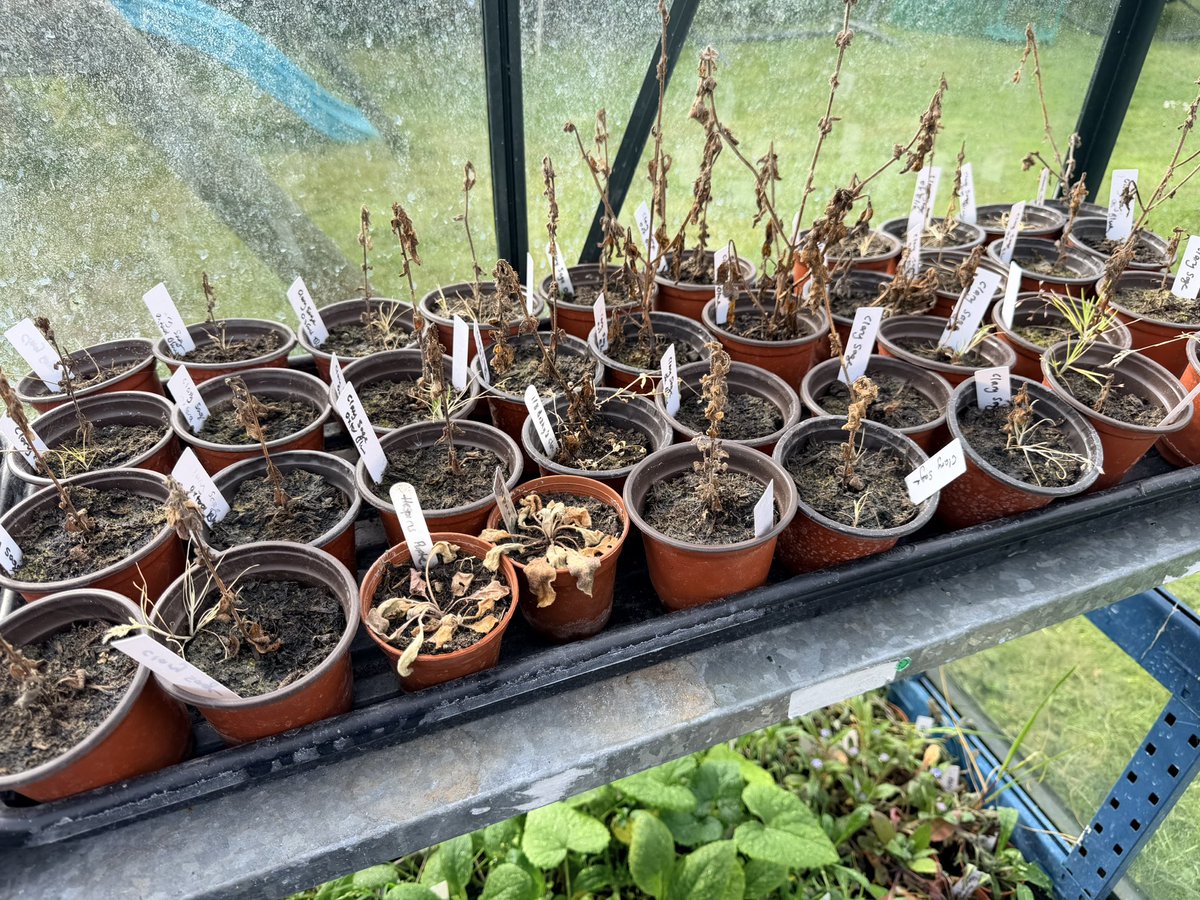 Nikki McGee tweet media