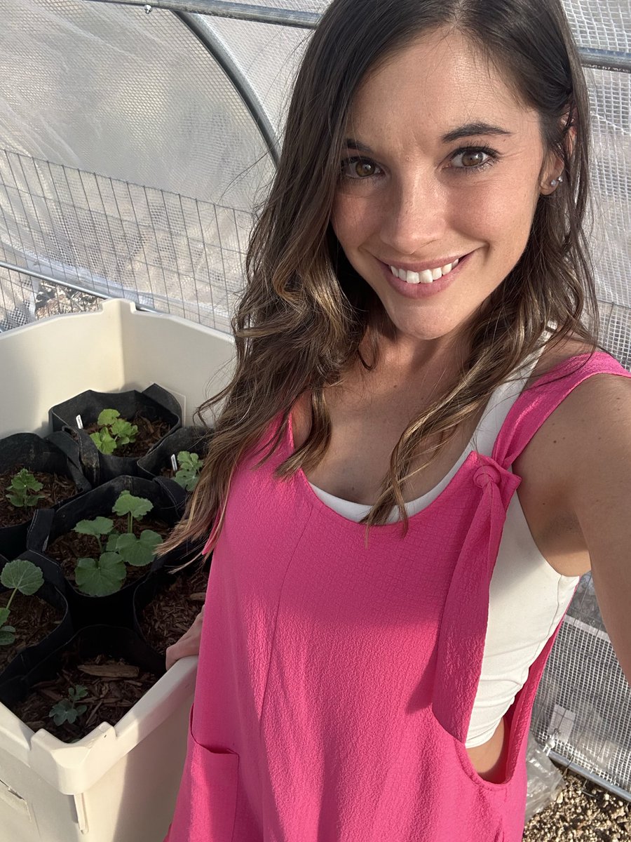 EmmaUnbound's tweet photo. Spending some time in the garden this morning 🫑🥒🍅

#garden #gardening #cute #brunette #countrygirl #GoodMorningsaturday #smile https://t.co/6KQWtl6IHR