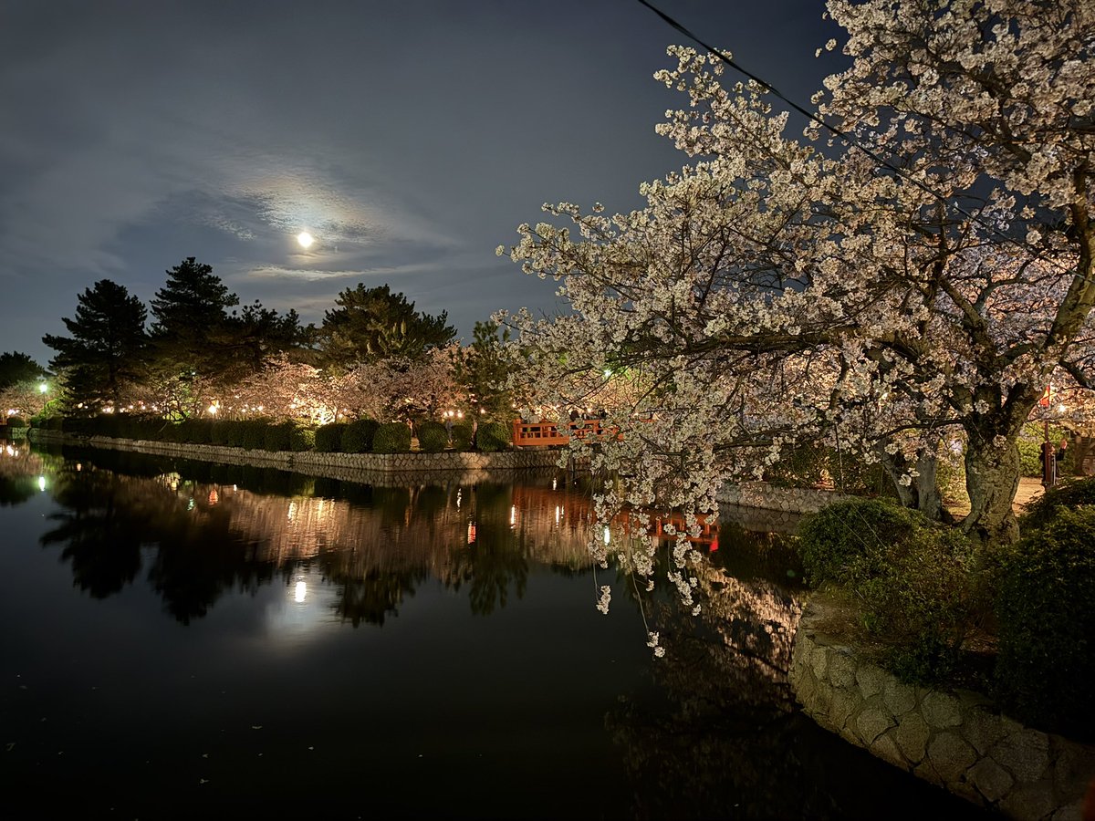 榎本晋作/未来学でイギリス大学院奮闘中🌏 tweet media