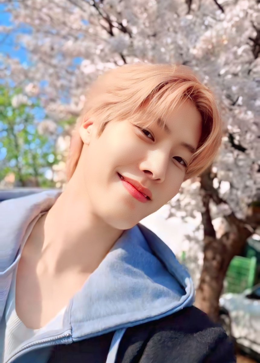 chu 秀秀 tweet media