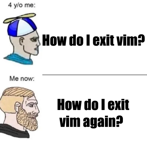 terminal tweet media