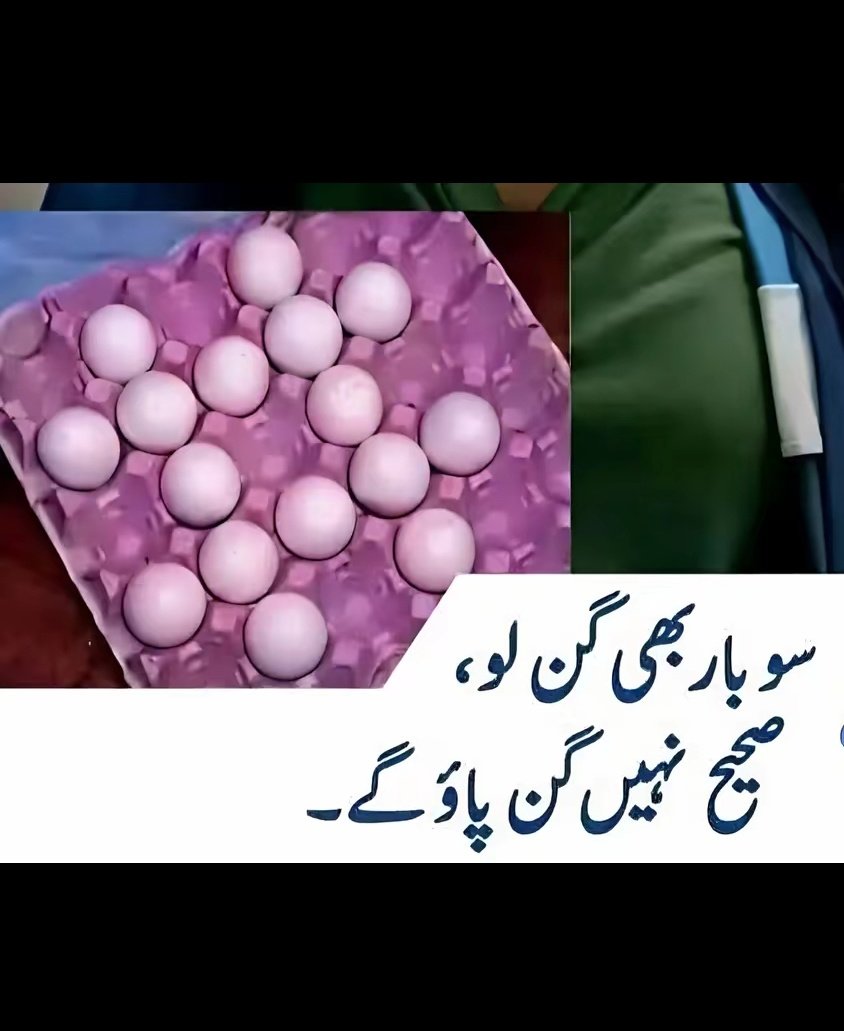 Alamgir Zeb tweet media