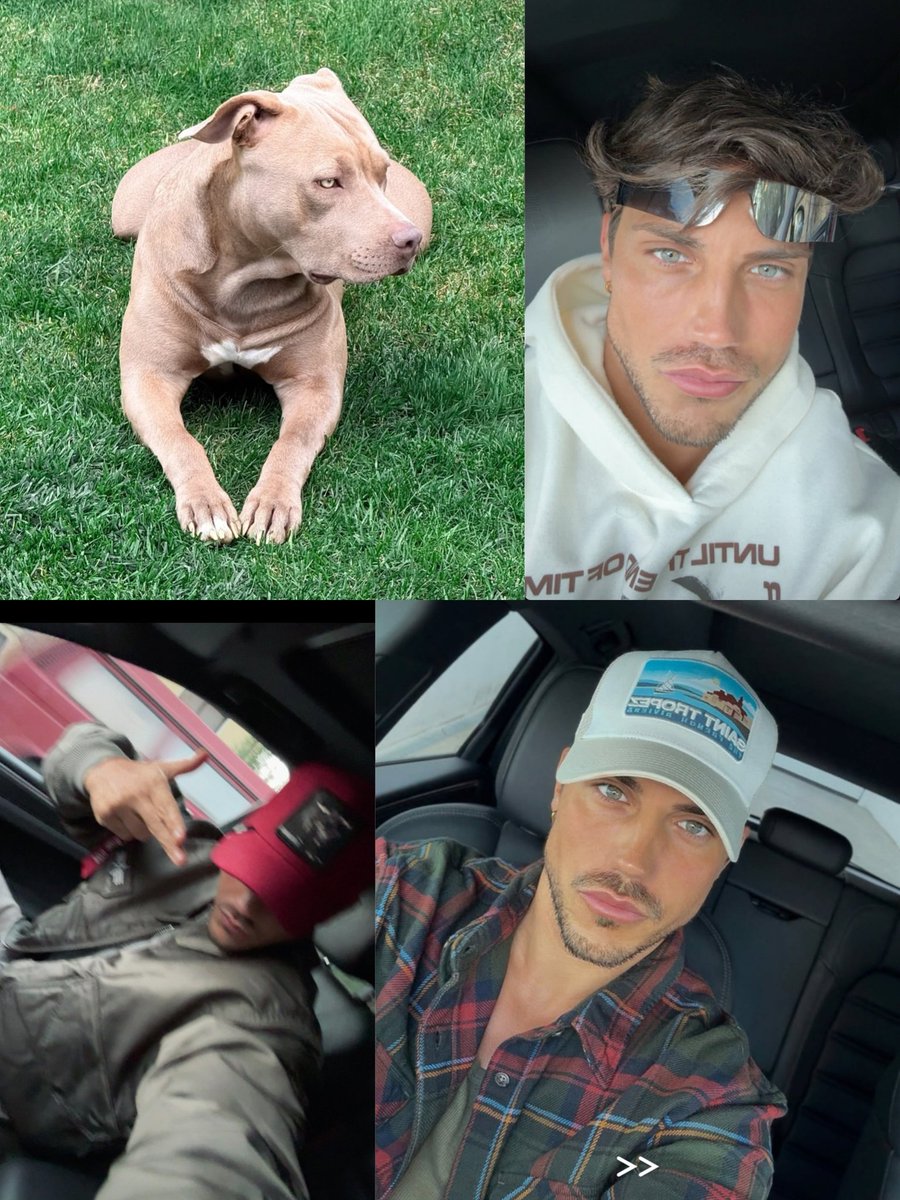 ACQUARIO 76 tweet media