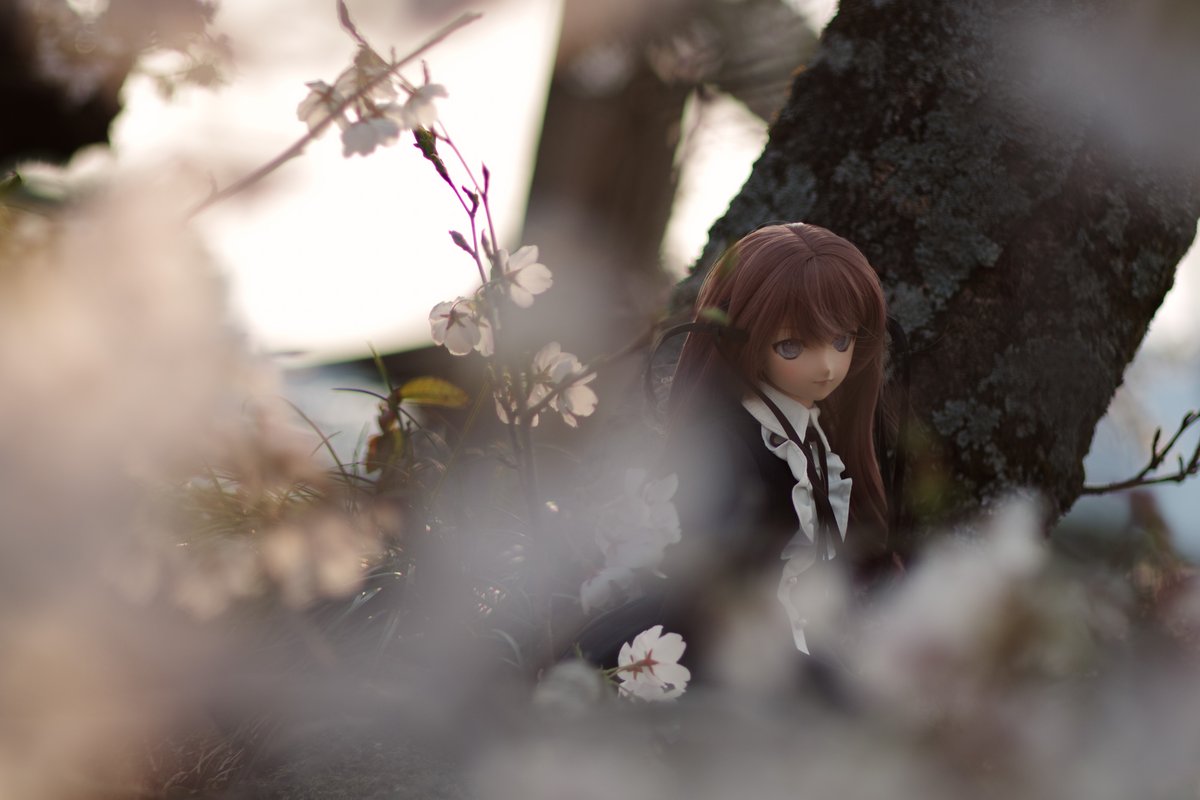 うわり tweet media