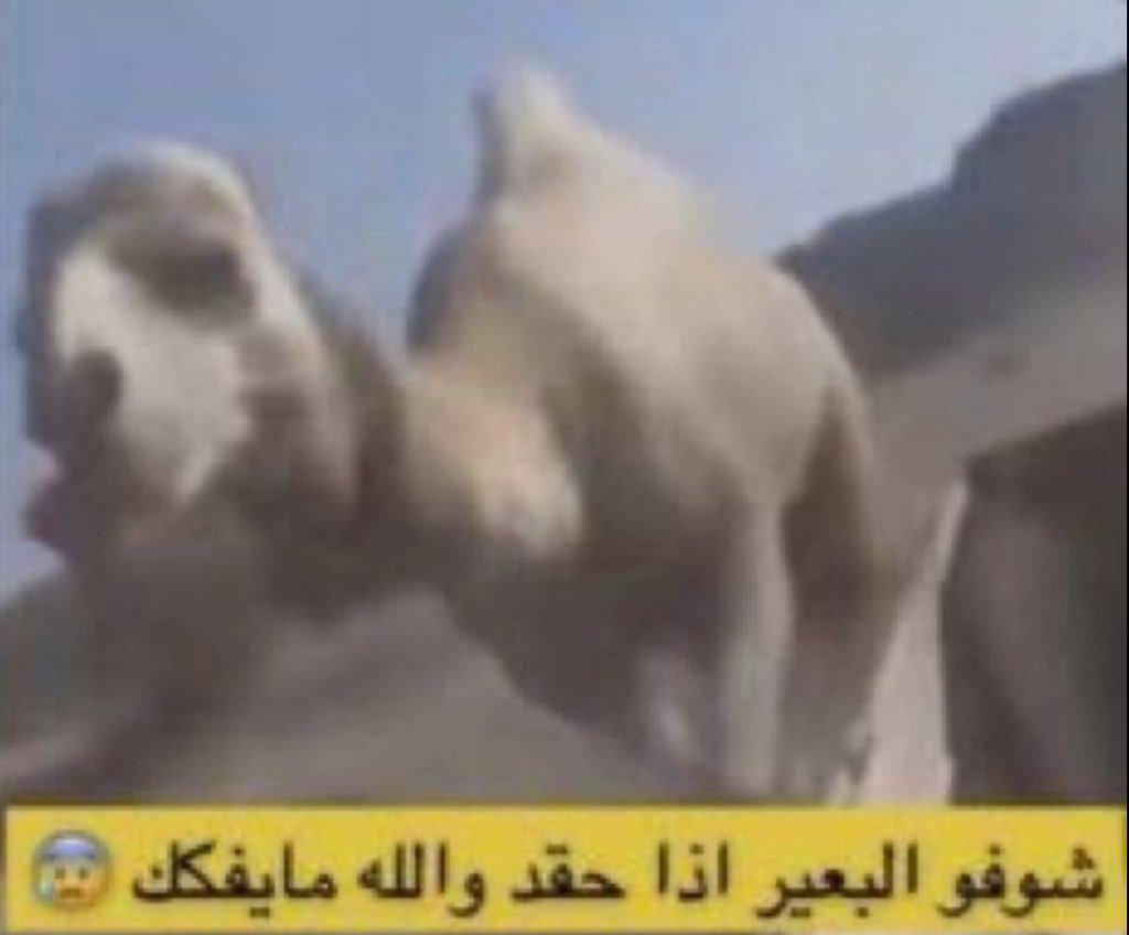 Aira ♡ tweet media