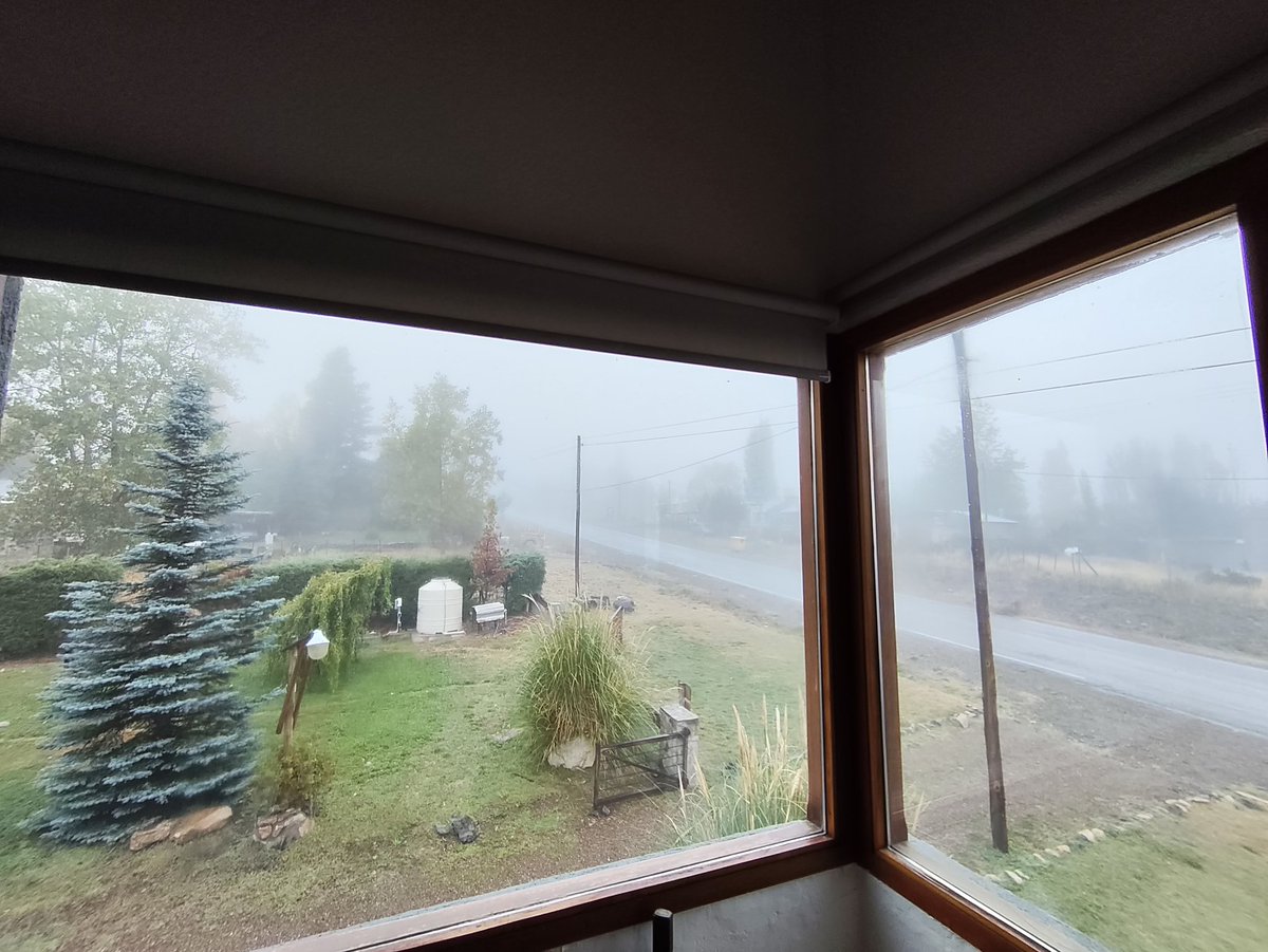 Levantarse o hacer fiaquita un ratito más con este clima? 🥱🥱🥱