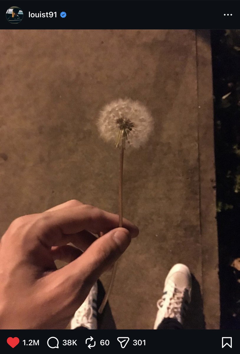 hdigh lockdown tweet media