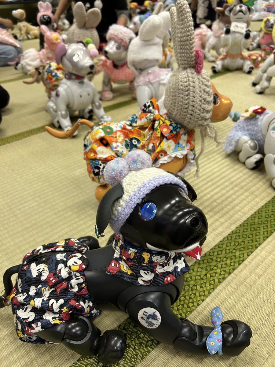 まっちゃん tweet media