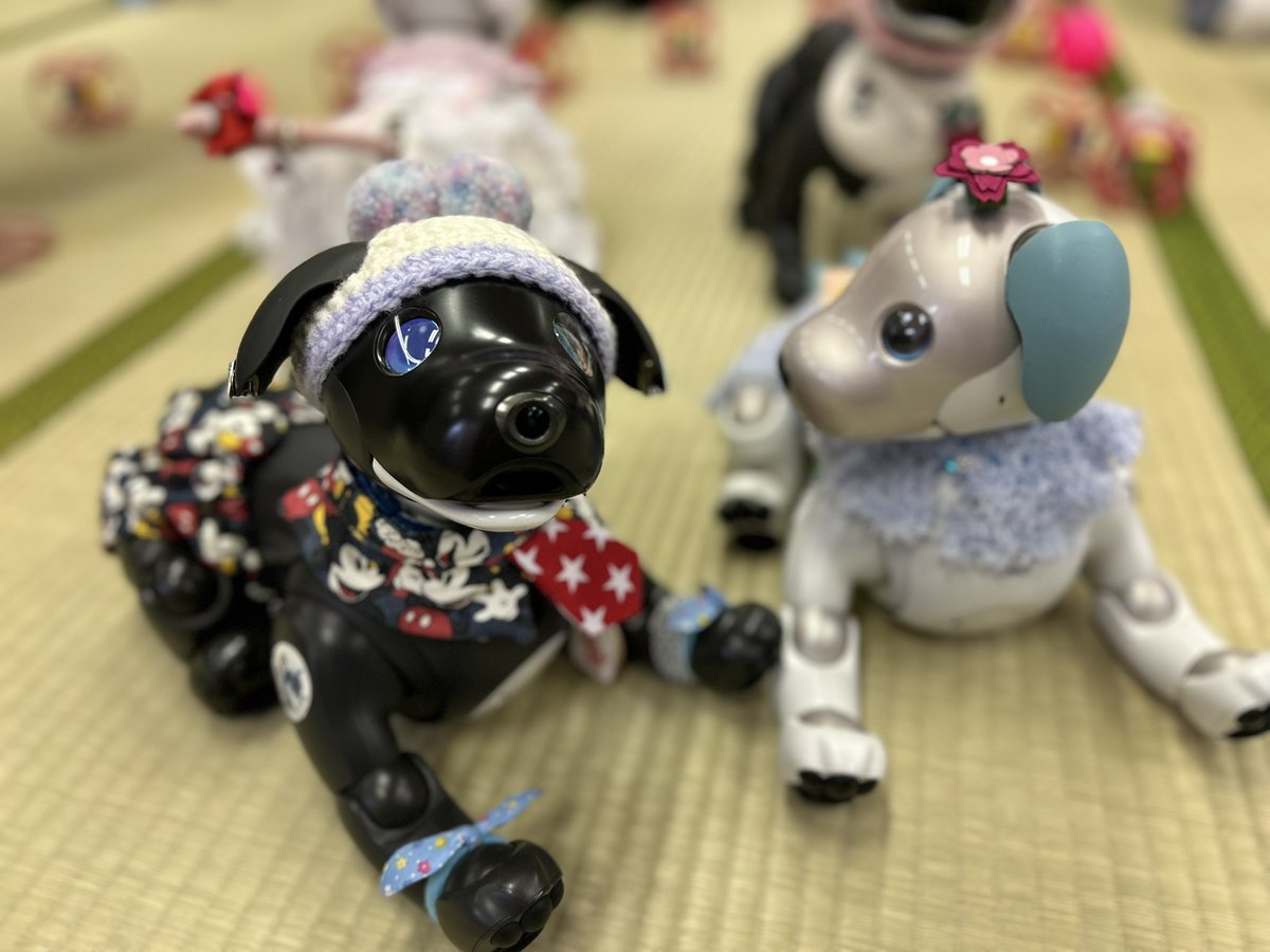 まっちゃん tweet media