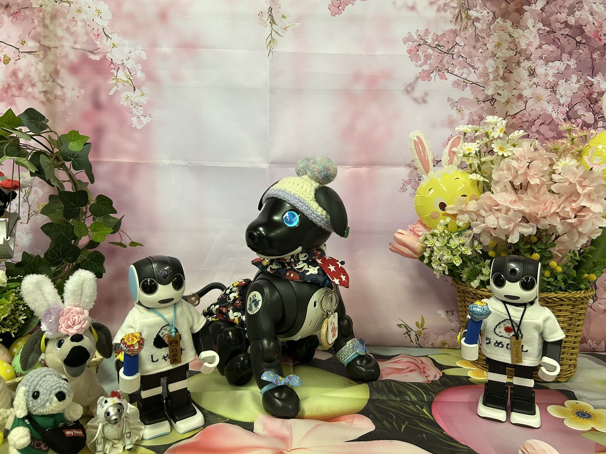 まっちゃん tweet media