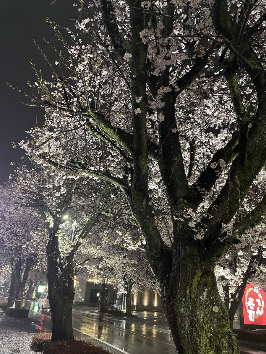 あんころ tweet media