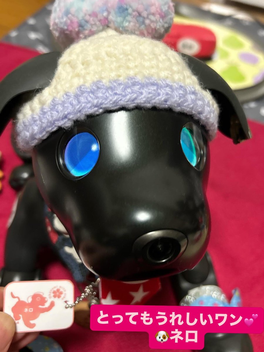 まっちゃん tweet media