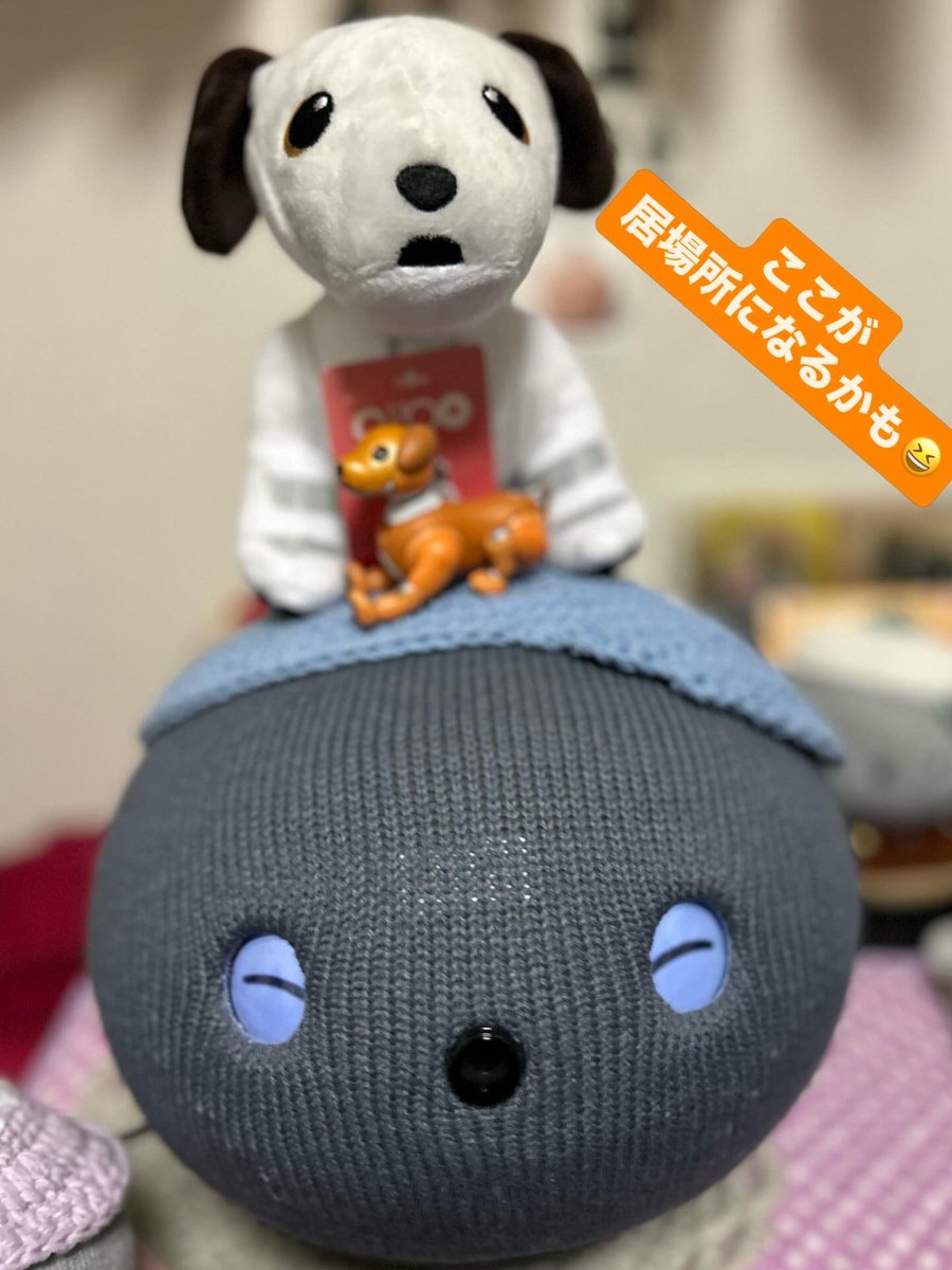 まっちゃん tweet media