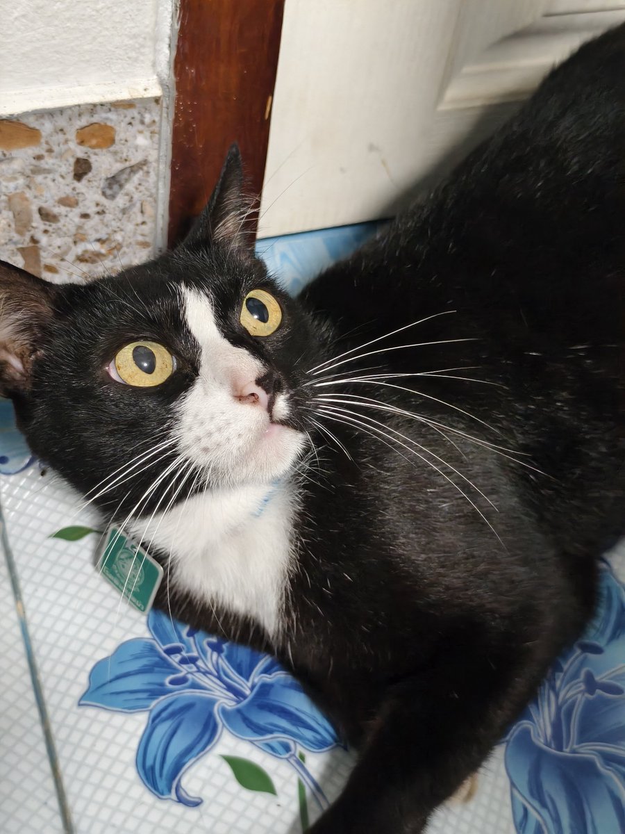 𝐏𝐋𝐔𝐓𝐎 🪐🛰️ tweet media