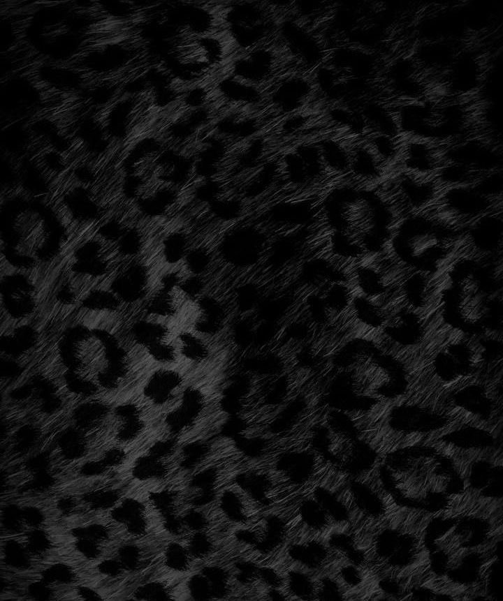 ウエ樣 tweet media