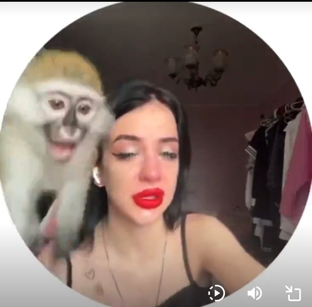 Y3ll0 𓆰𓆪 tweet media