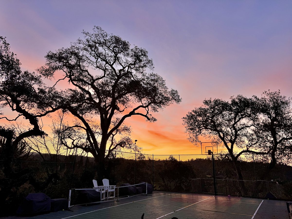 NativeSantaCruz's tweet image. 6:45am as I arrived to start a week of pet sitting at a hilltop estate in the Soquel Hills.