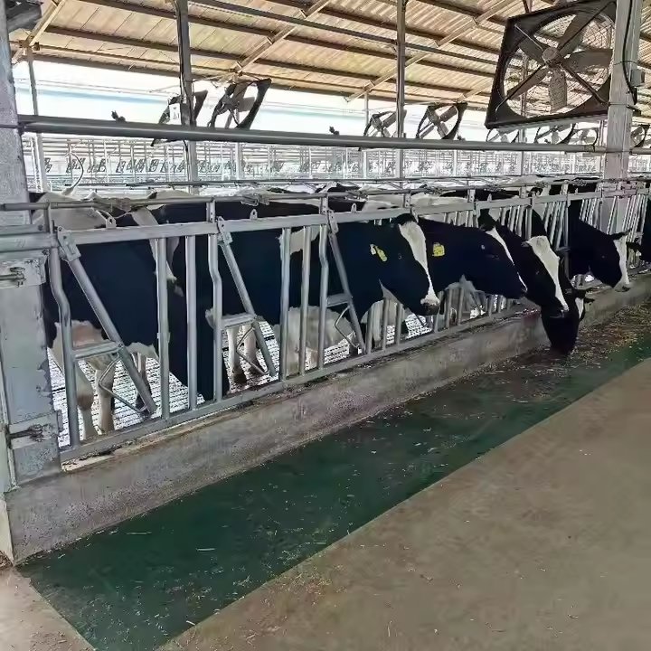 ABDULAZIZ AL-SALEM, et al, 2011 tweet media