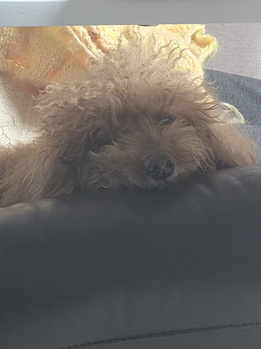 생각중 tweet media