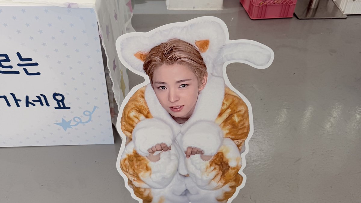 さり૮ ⸌̣ ﻌ ⸍̣ ა tweet media