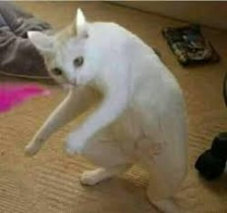 I was out yesterday and I dind't have the time to do daily sketch, but today.. I'm going to put my meme here