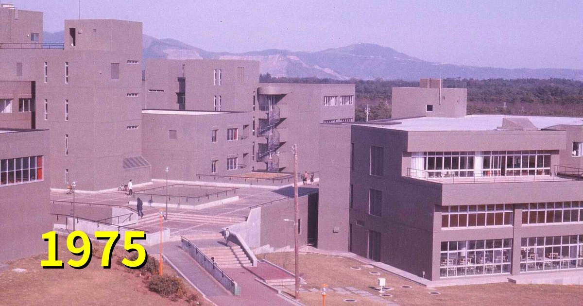 ゴーダ tweet media