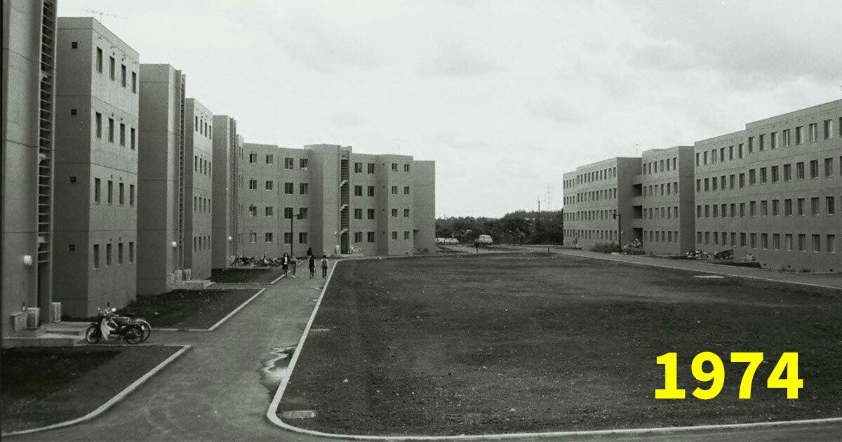 ゴーダ tweet media