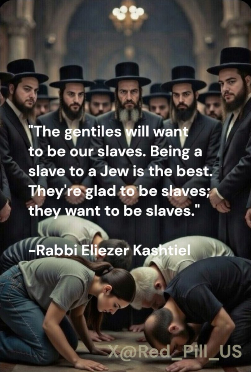 inquisitive mind tweet media