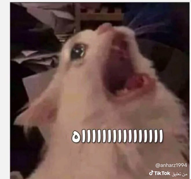 تالا🎀 tweet media