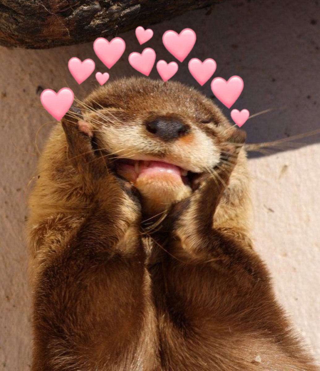 Charlie Cox as Otters tweet media