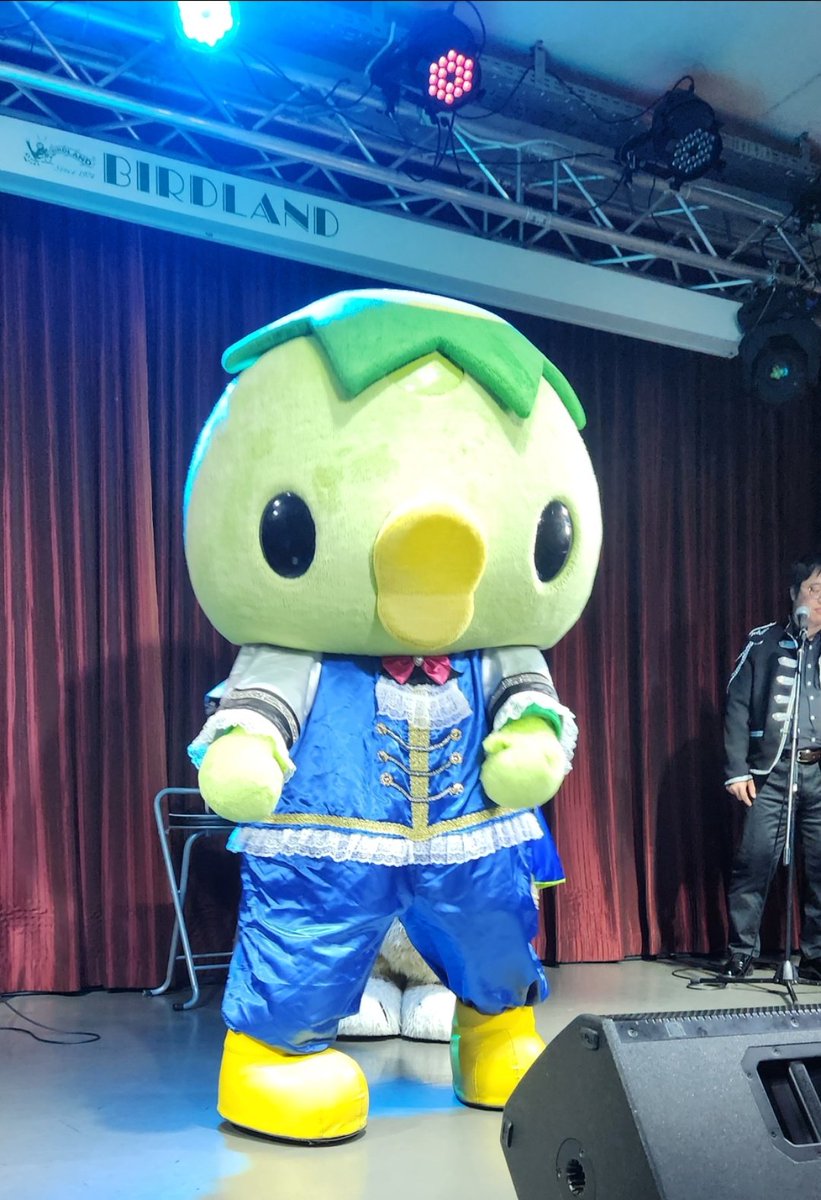 モンたん（M★Tたん＆モン吉） tweet media