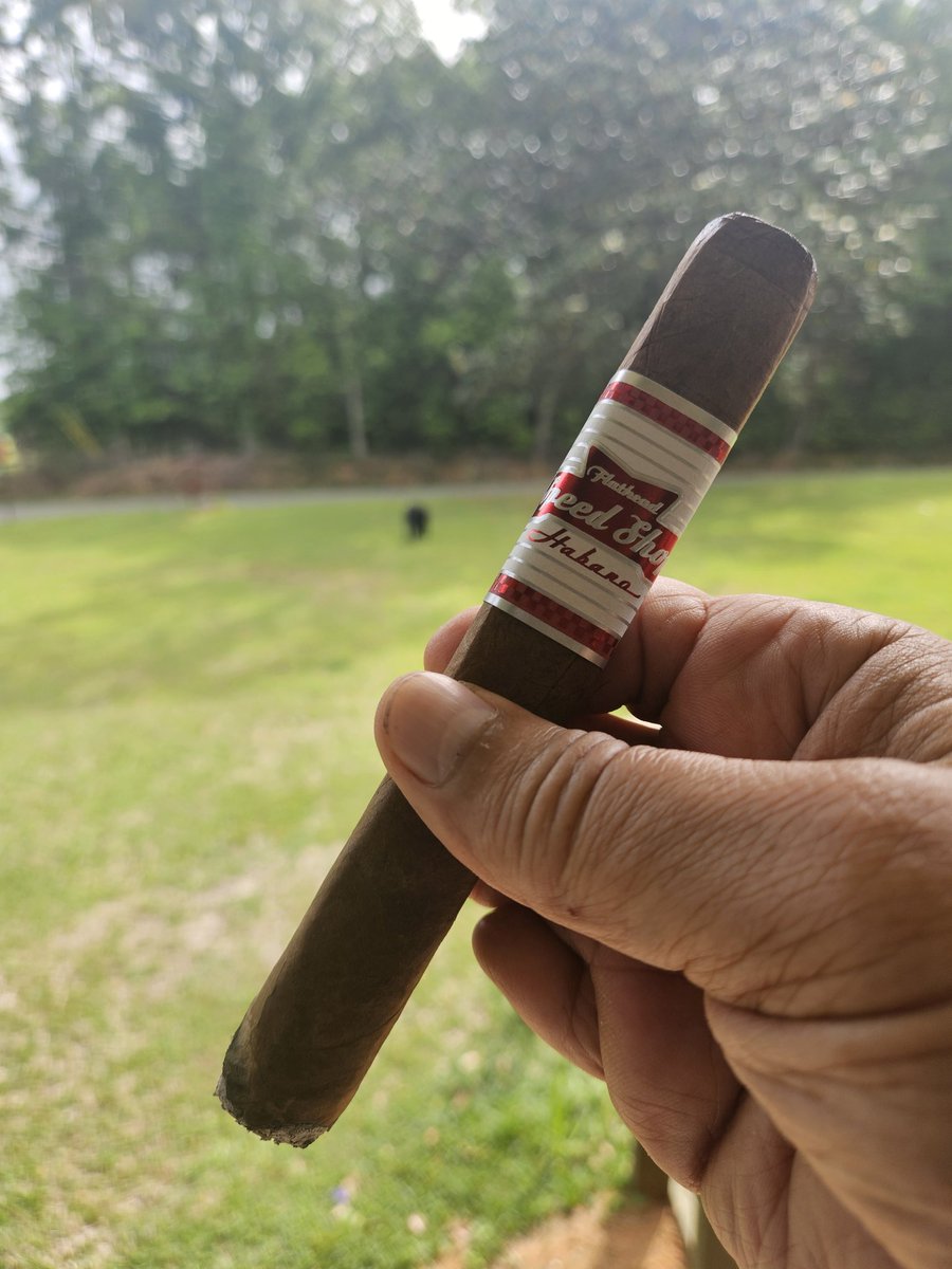 Cruise Possum tweet media