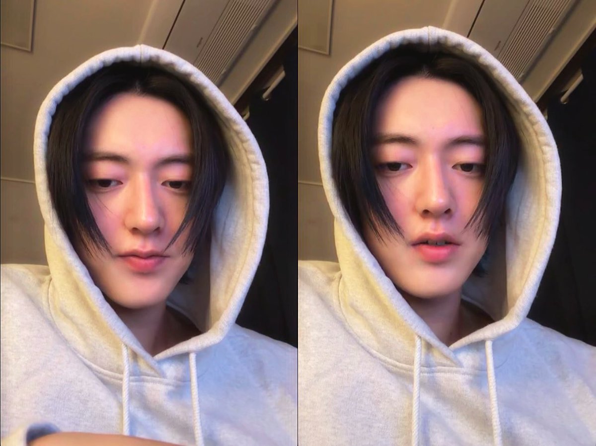 🦋하루루🦋 tweet media