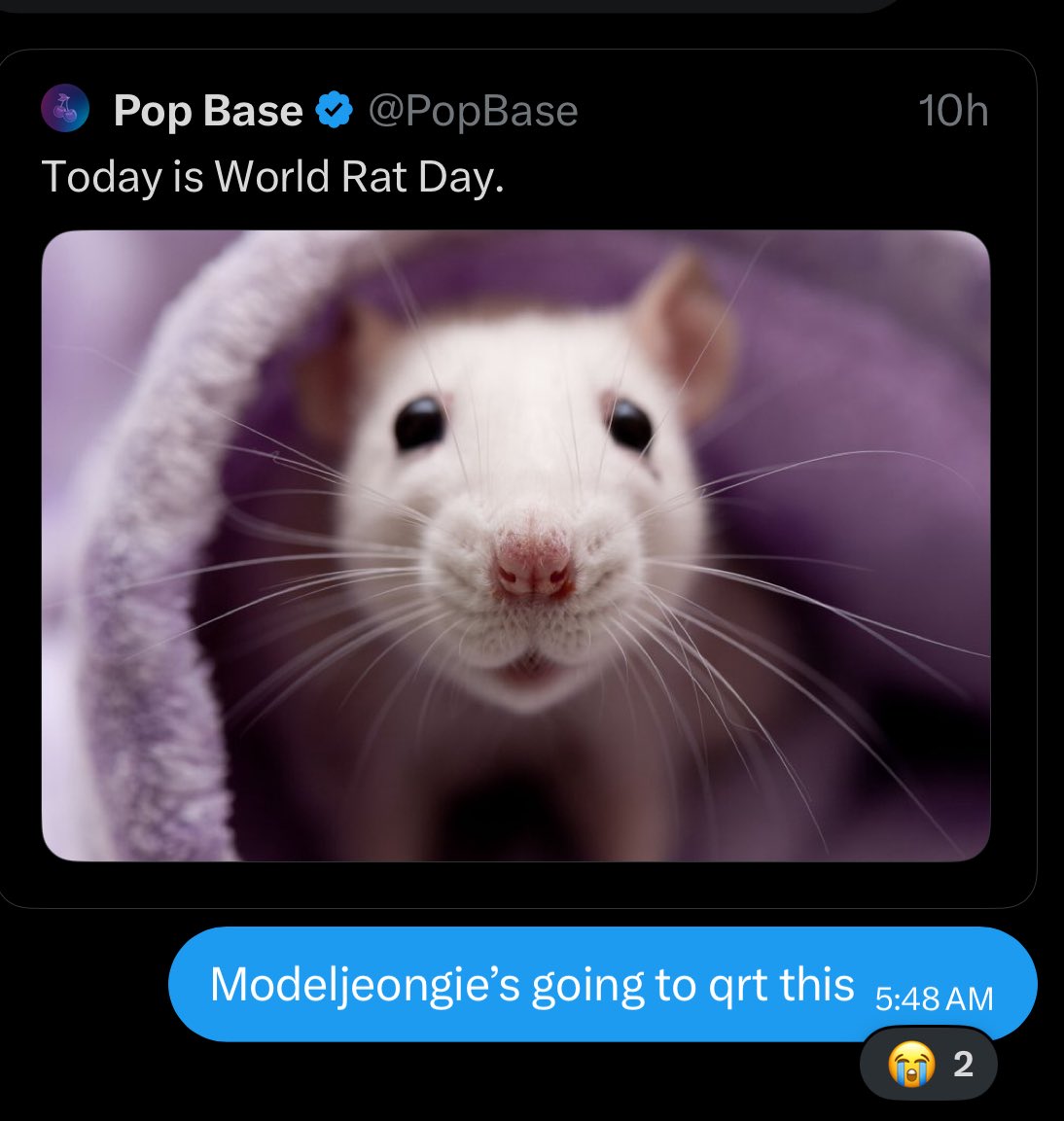 ₅₀₃² 🎉 tweet media