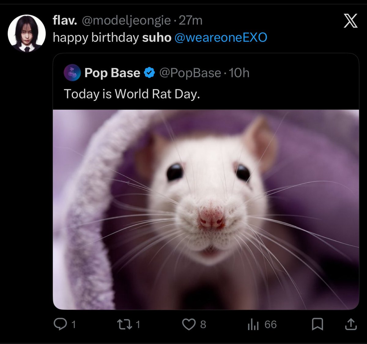 ₅₀₃² 🎉 tweet media