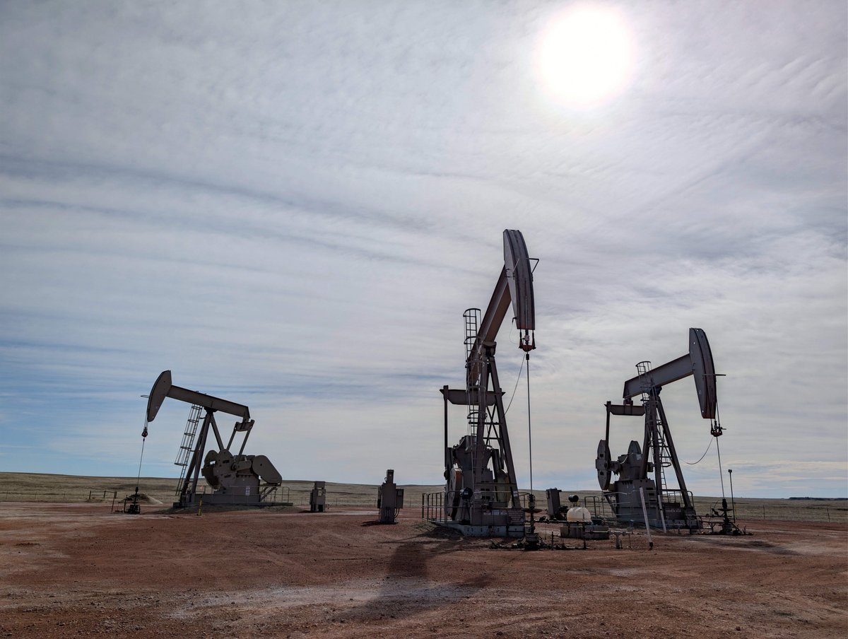 Dakota Prairie Grasslands tweet media