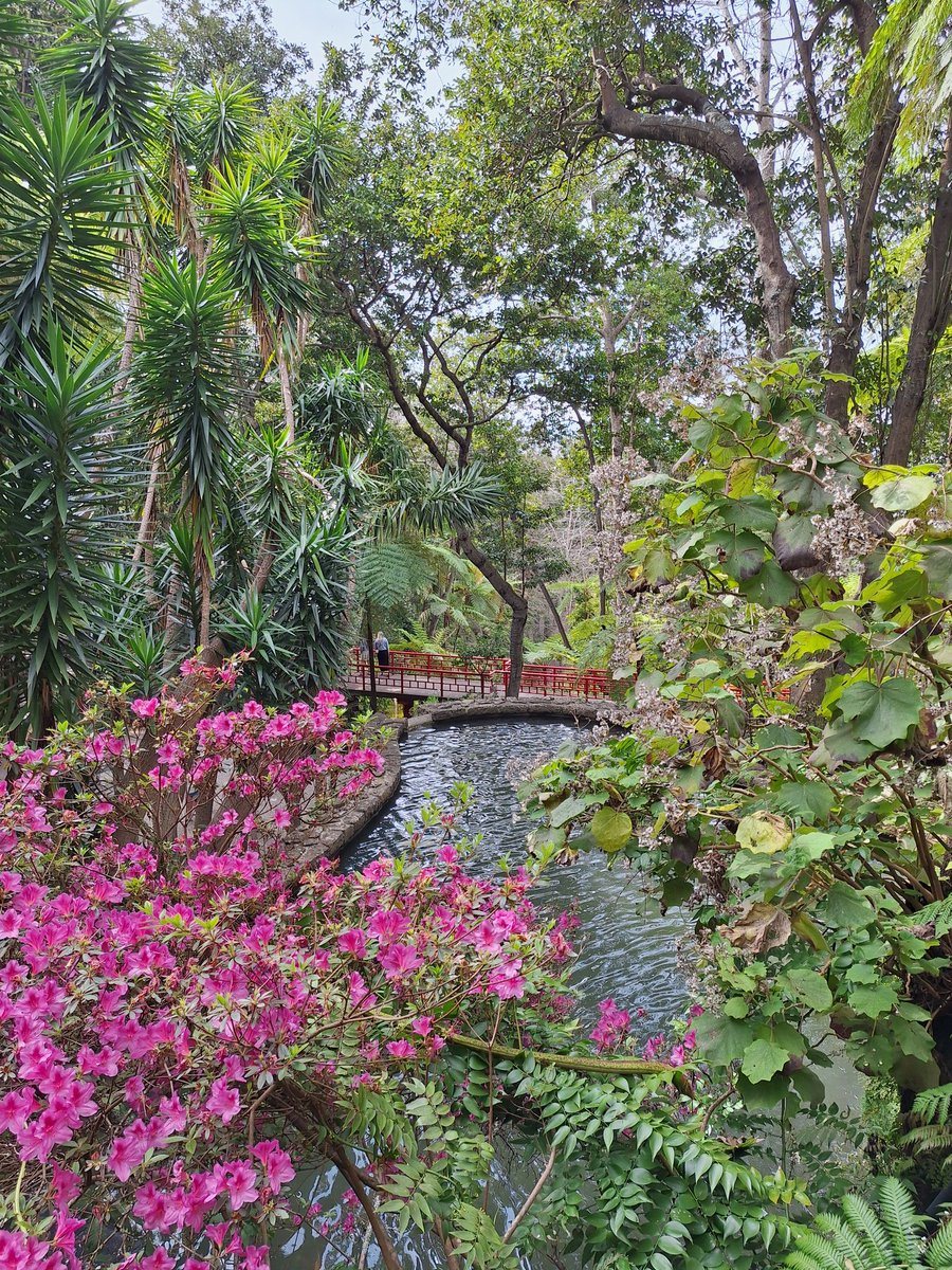 Bruce Findlay /power to the people 🕊✌ tweet media