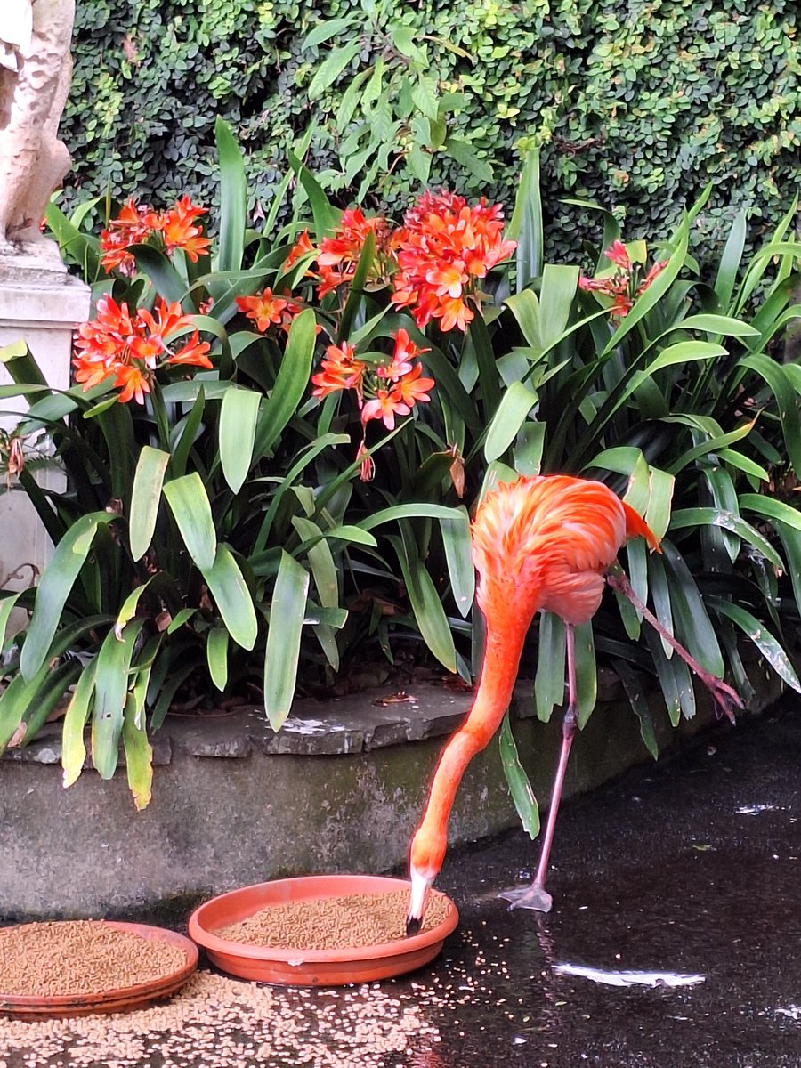 Bruce Findlay /power to the people 🕊✌ tweet media