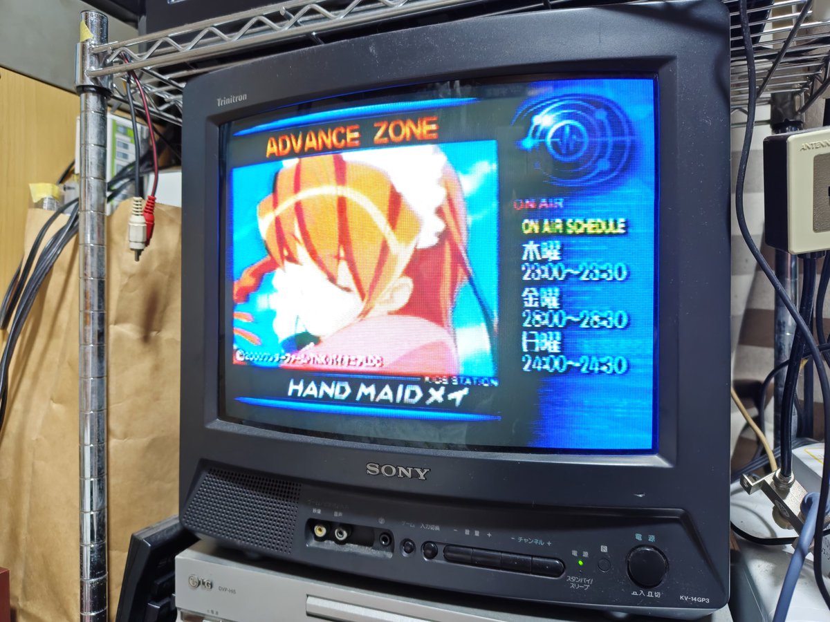 モーリー tweet media