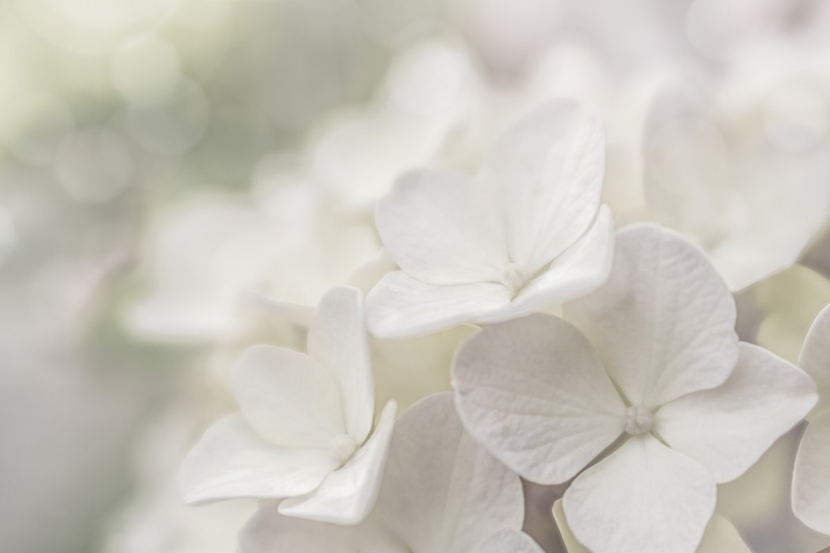 Tina Quillen Photography tweet media