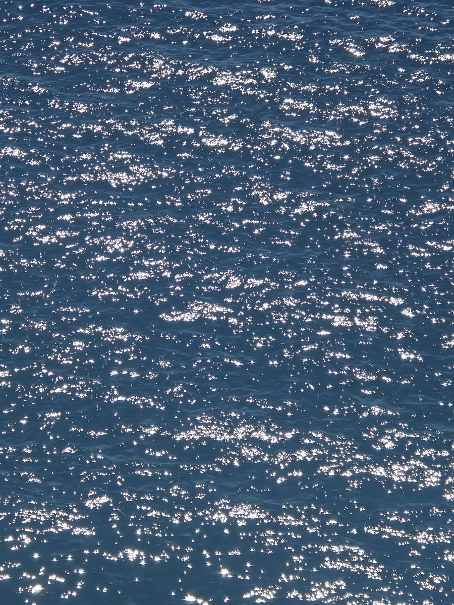 extrêmement vivant tweet media