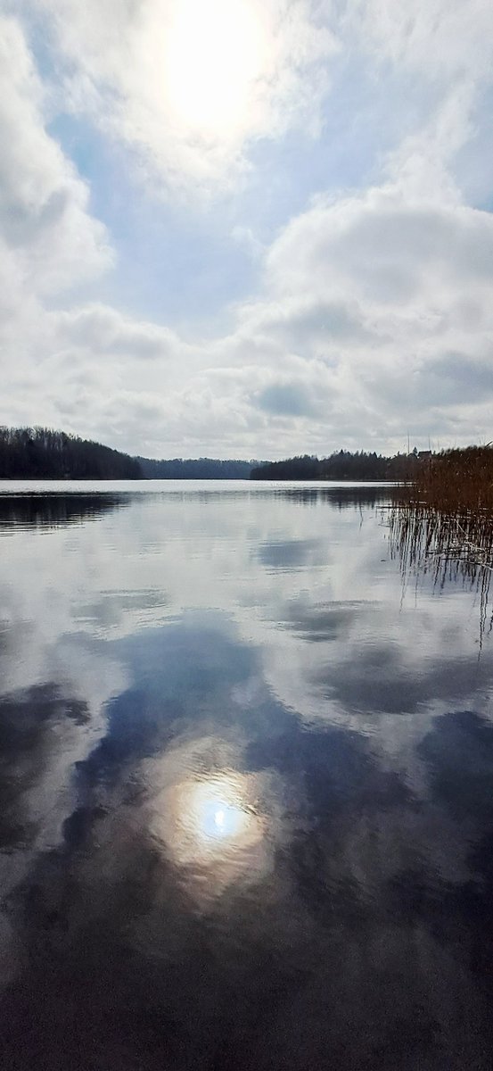 Mark #CSB 🖤💛🦭 tweet media