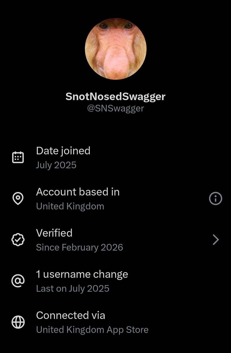 packergirl tweet media