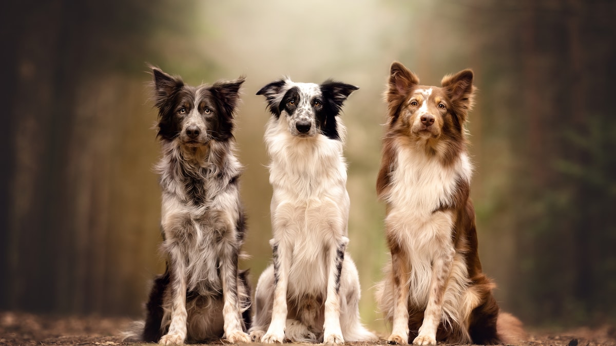 FIT FOR FUN tweet media