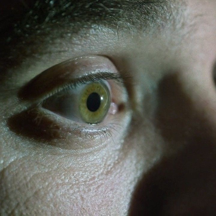 Christine tweet media