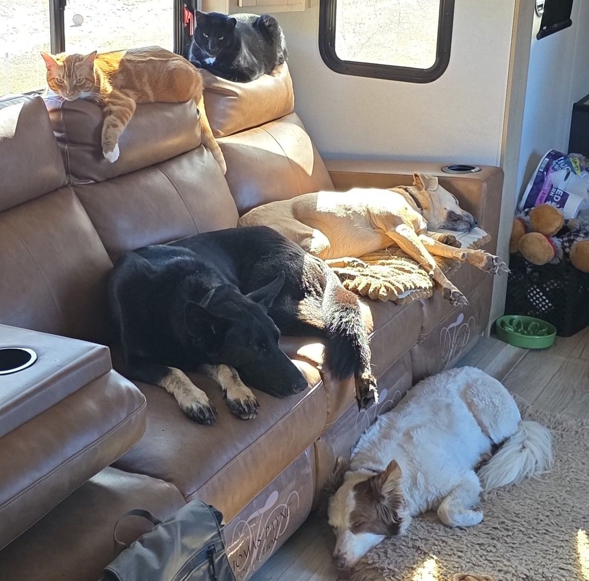 Kommvict 🇺🇸 tweet media