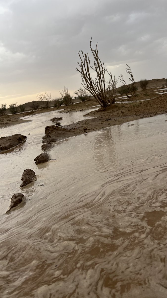 خالد بن محسن tweet media