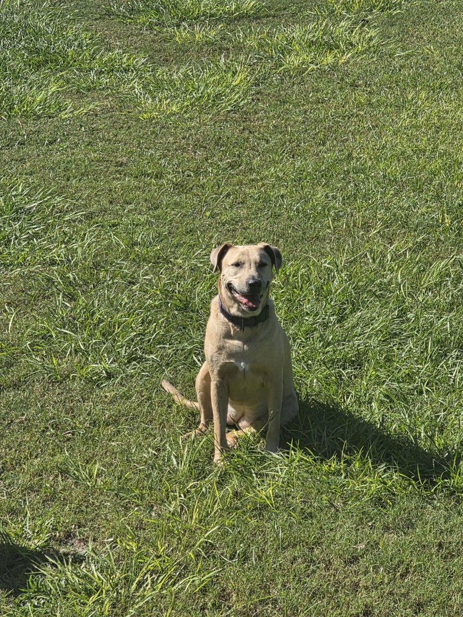 Kommvict 🇺🇸 tweet media