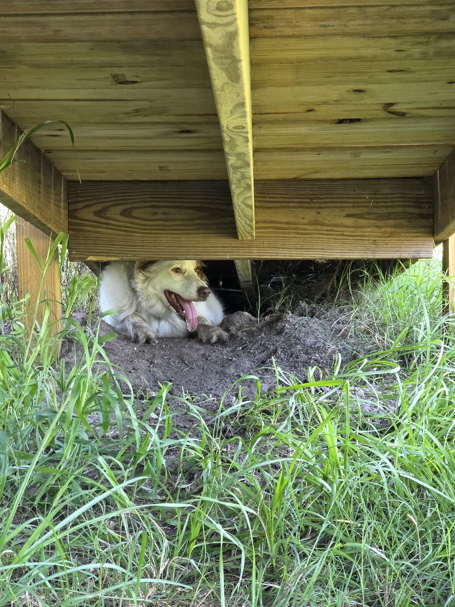 Kommvict 🇺🇸 tweet media